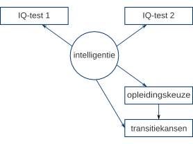 Figuur 3: Schematisch overzicht gebruikte model