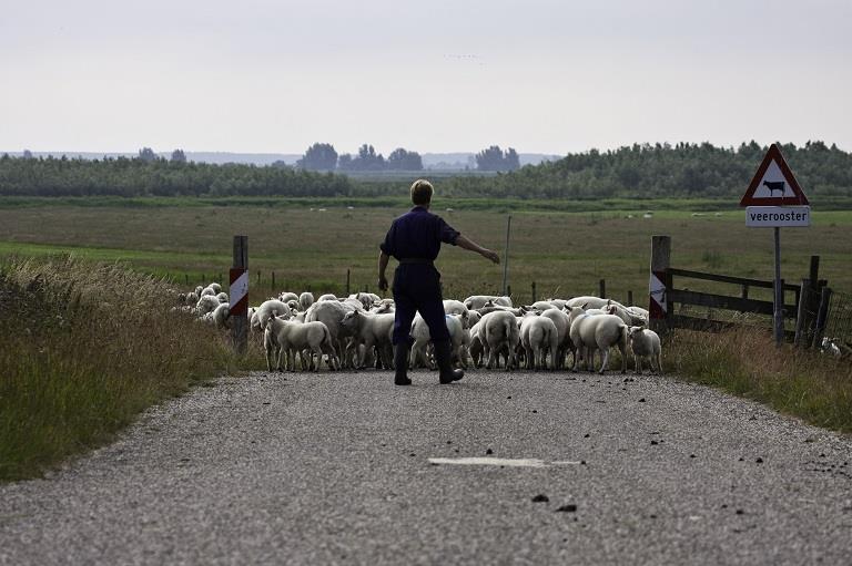 Verkoop gratis verworven rechten van agrariërs doelmatig image