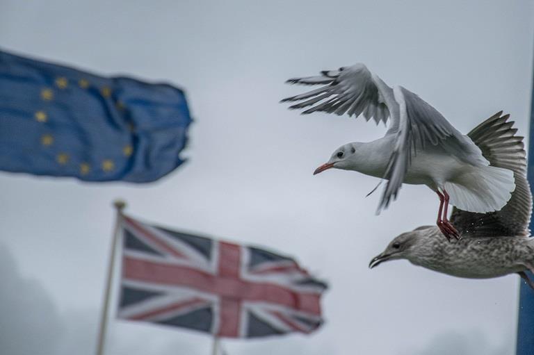 Brexit heeft een onderliggende oorzaak in verwarring image