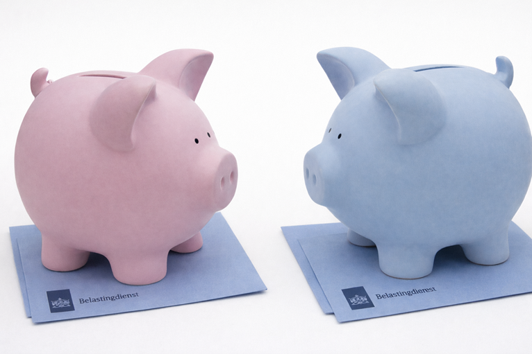 Het vereenvoudigen van de overheid blijkt complex, maar er is hoop image