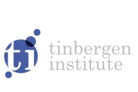 Tinbergen Institute Summer School 2018 image