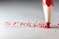 De bestrijding van stress verdient meer politieke aandacht en budget image
