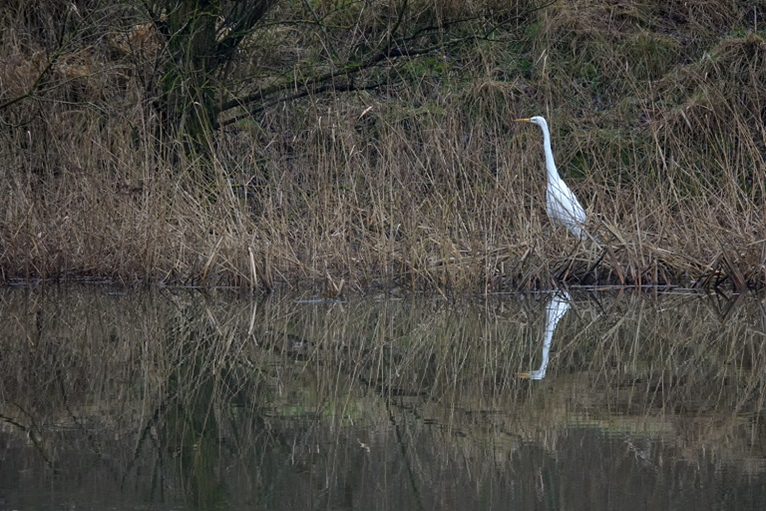 Sturen op Brede Welvaart vraagt vooral een pragmatische aanpak image