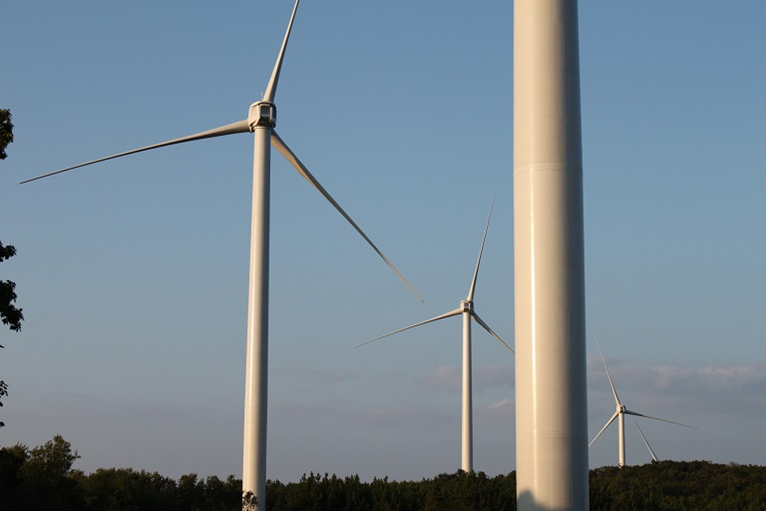 Klimaattransitie lijkt economische groei maar beperkt te remmen image