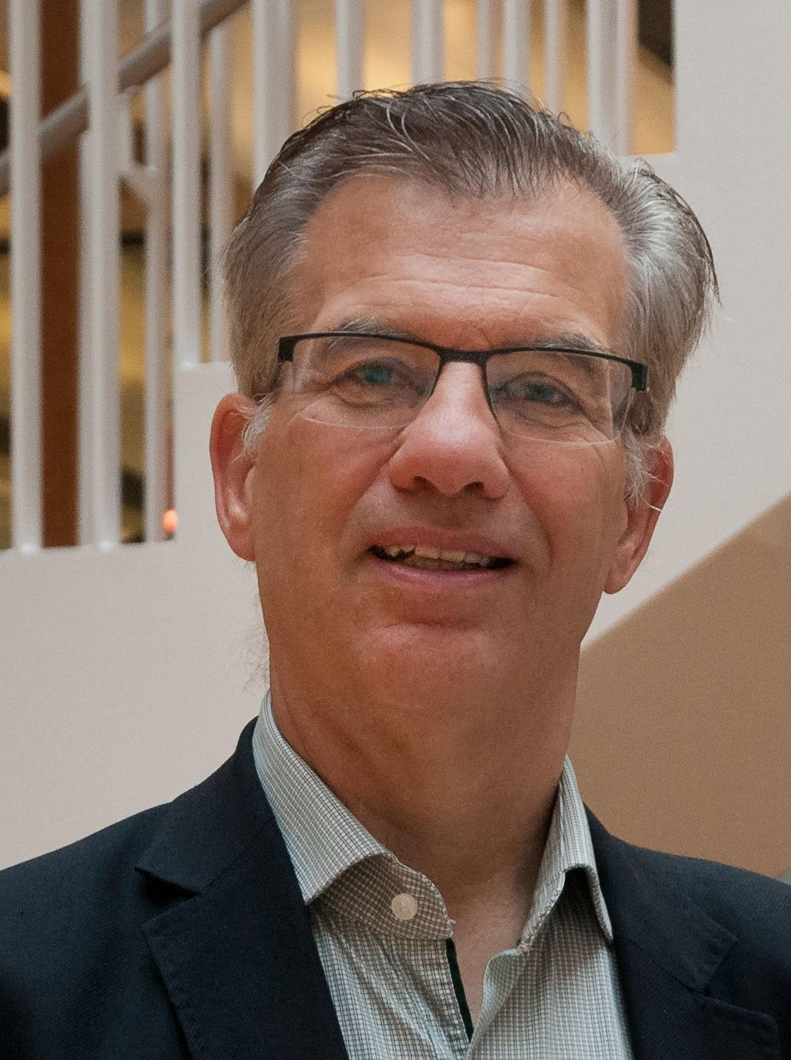 Bram Steijn image